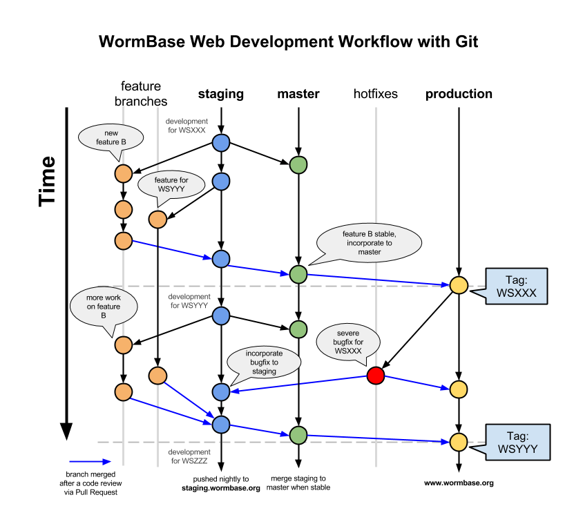 Git Workflow - WormBase4.png