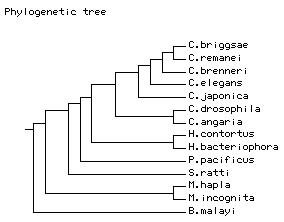 Tree4.png