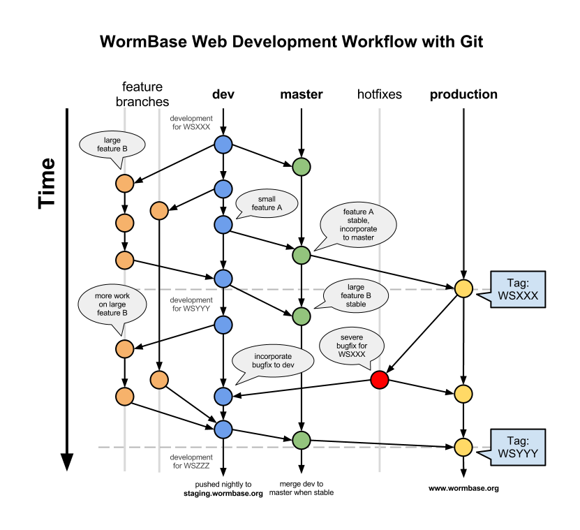 Git Workflow - WormBase1.png