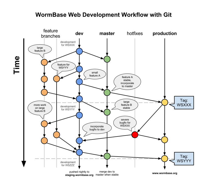Git Workflow - WormBase2.png