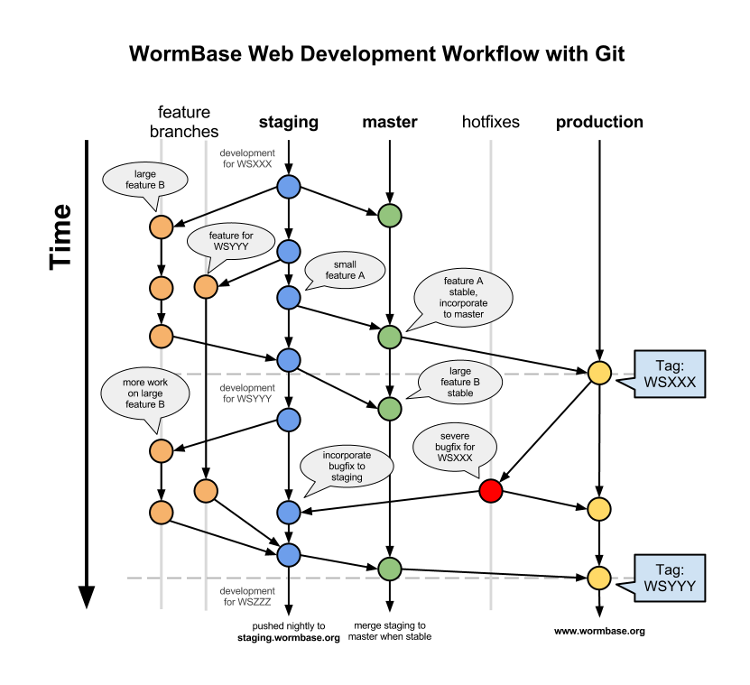 Git Workflow - WormBase3.png