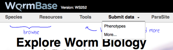 WormBase homepage link to phenotype form 1-20-2016.png